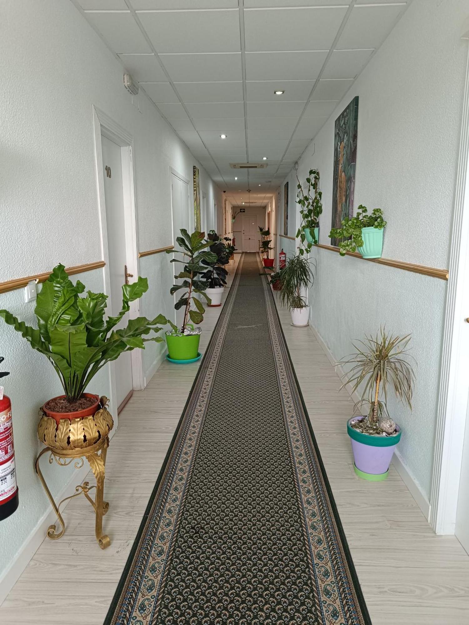 Hostal Fuente Del Pino Jumilla Εξωτερικό φωτογραφία
